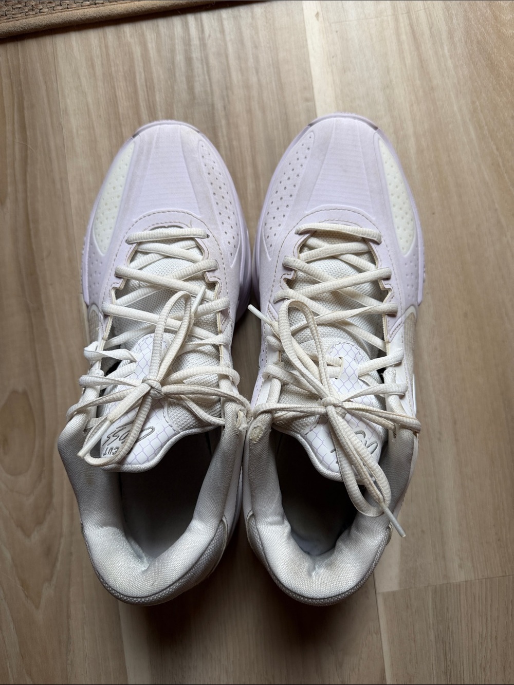 Nike GT CROSS ZOOM
